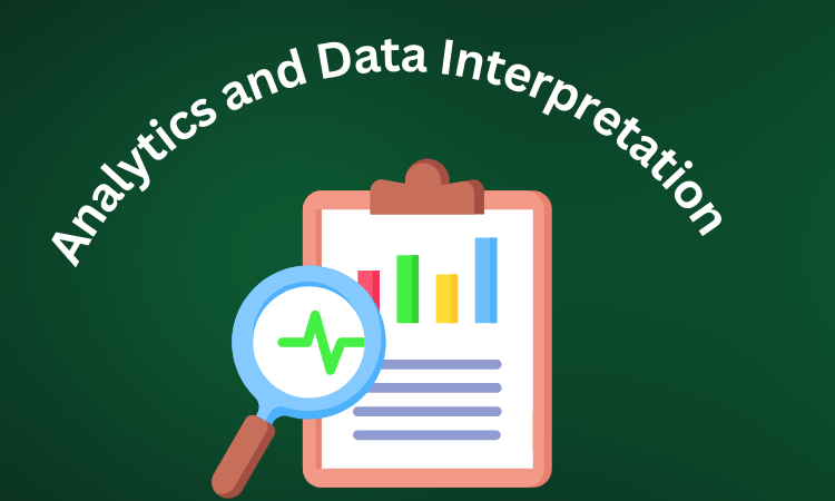 Analytics and Data Interpretation