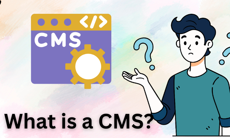 What is a CMS
