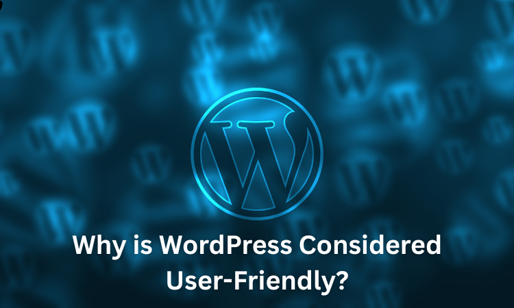 Imag of visual showing Why is WordPress Considered User-Friendly