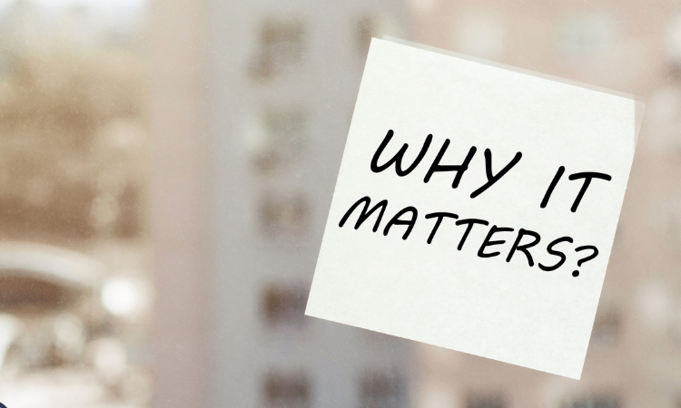 Why Immersive Experience Design Matters Now