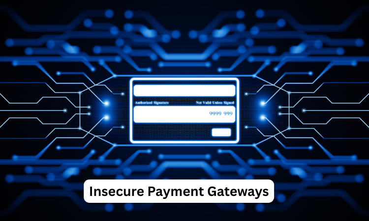 Insecure Payment Gateways
