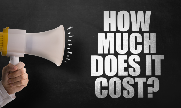 How much does it cost to develop an on-demand app