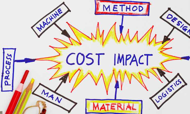 What Impacts the Cost of a Web App?