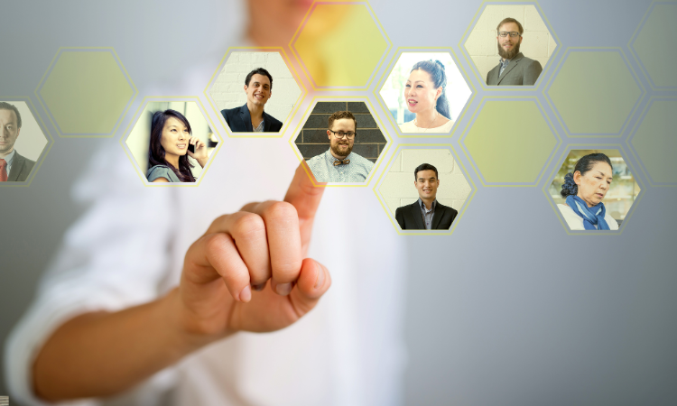 Choosing the Right Team Within Budget
