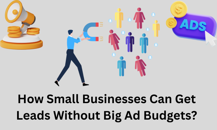 How Small Businesses Can Get Leads Without Big Ad Budgets?